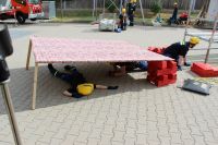 IMG_9831 (Large)